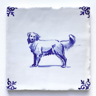 Golden retriever